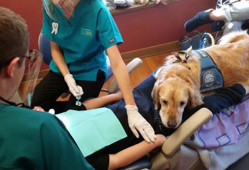 El perro JoJo, el enfermero más mono de la clínica dental infantil